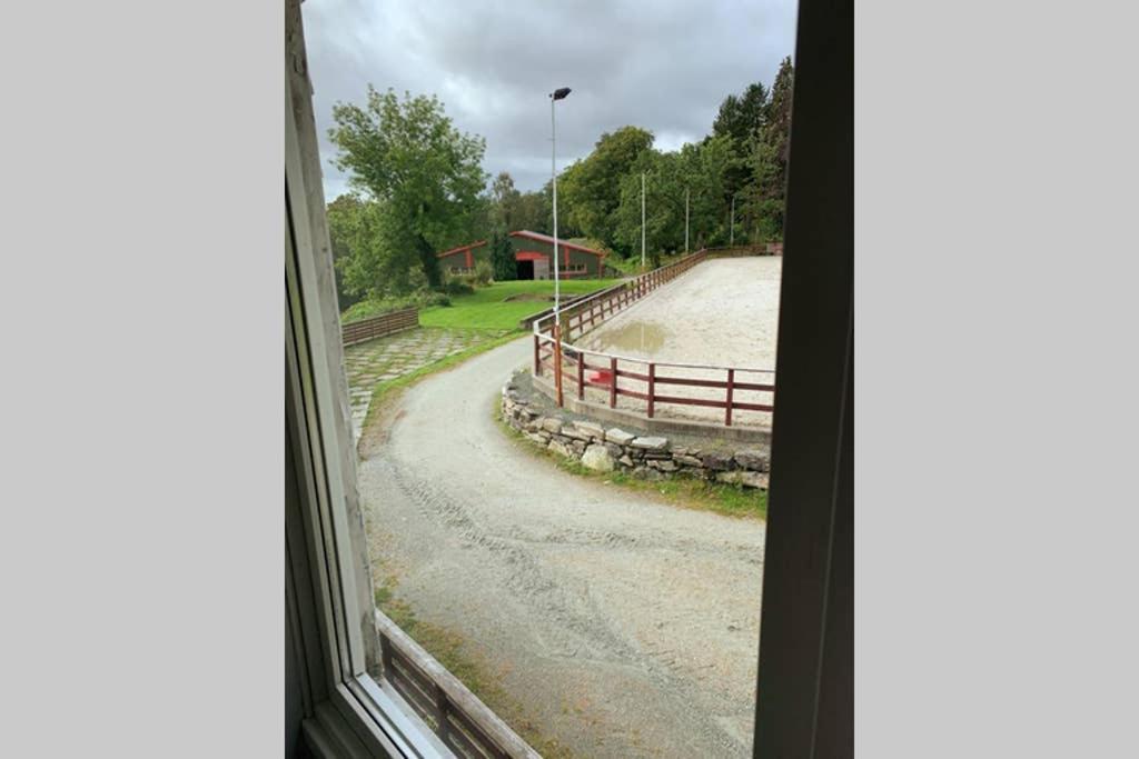 Moldegaard Riding Lodge Moldegard Dış mekan fotoğraf