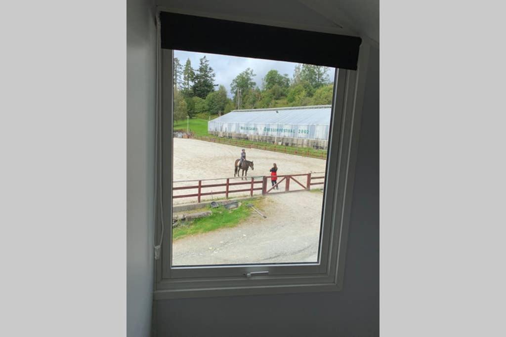 Moldegaard Riding Lodge Moldegard Dış mekan fotoğraf